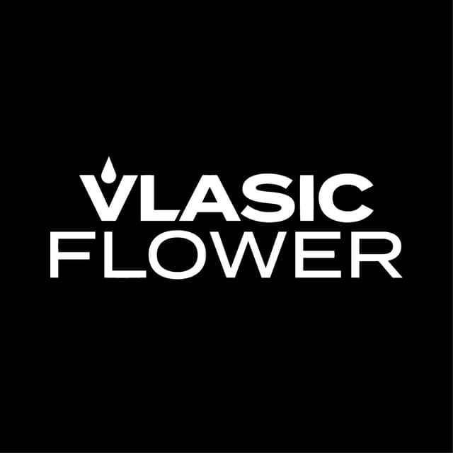 Vlasic Flower logo