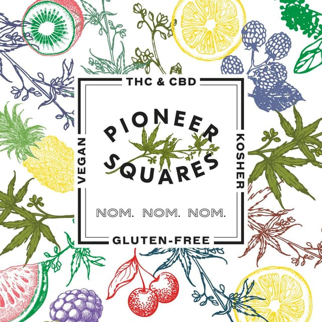 Pioneer Squares by Craft Elixirs logo