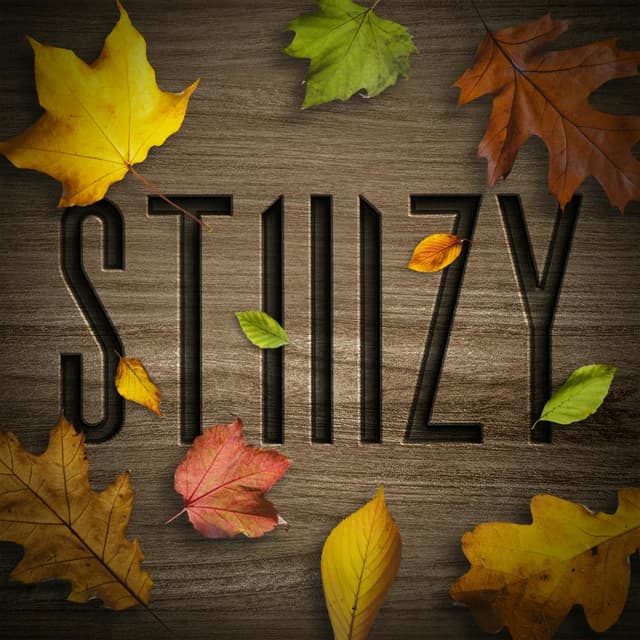 STIIIZY logo
