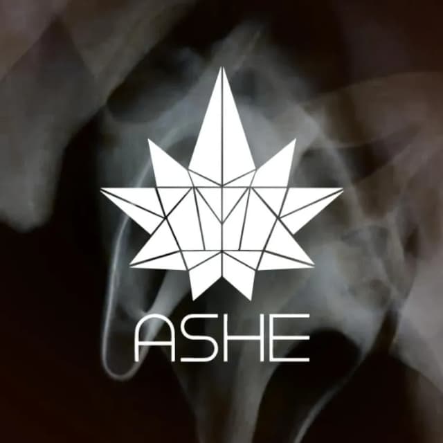 ASHE logo