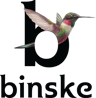 binske logo